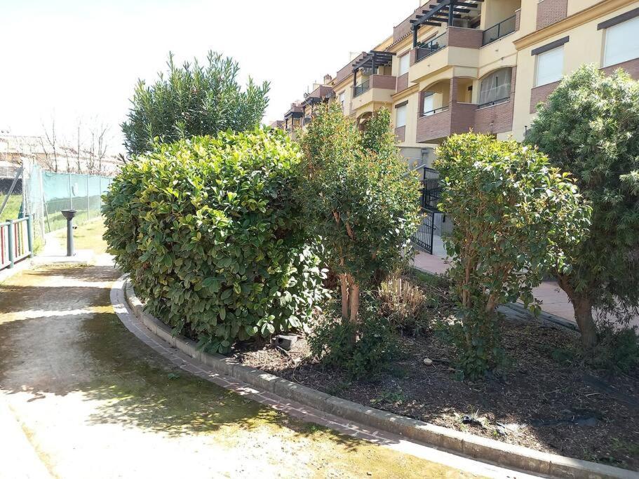 El Nido Del Nomada Daire Atarfe Dış mekan fotoğraf